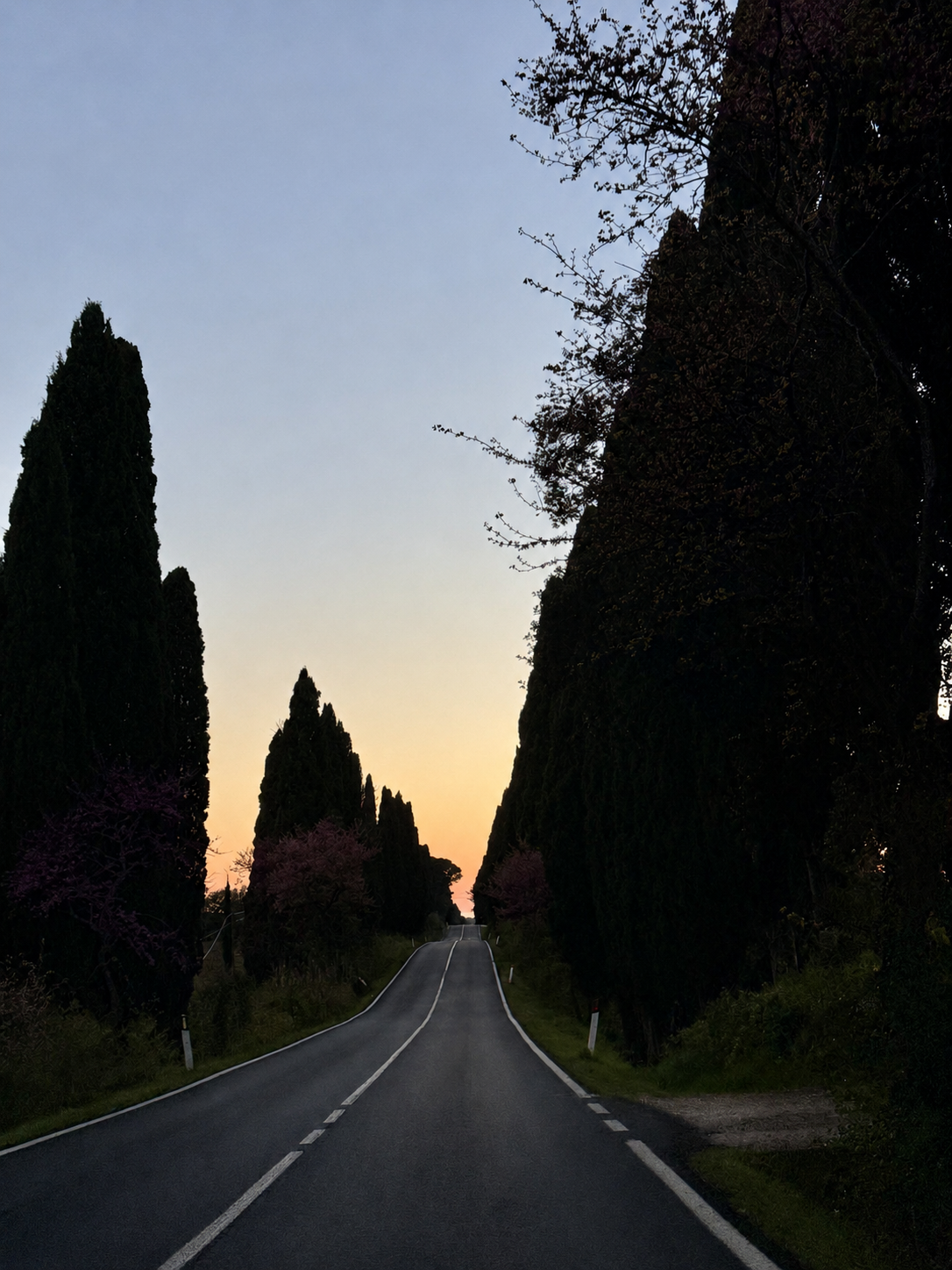 Tramonto_CasaBolgheriMV